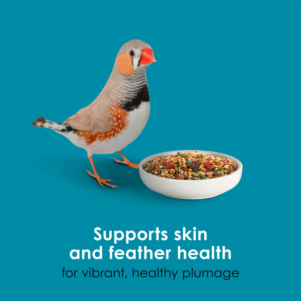 Uso diario recomendado en jaula de aves pequeñas, Kaytee Forti-Diet Pro Health.