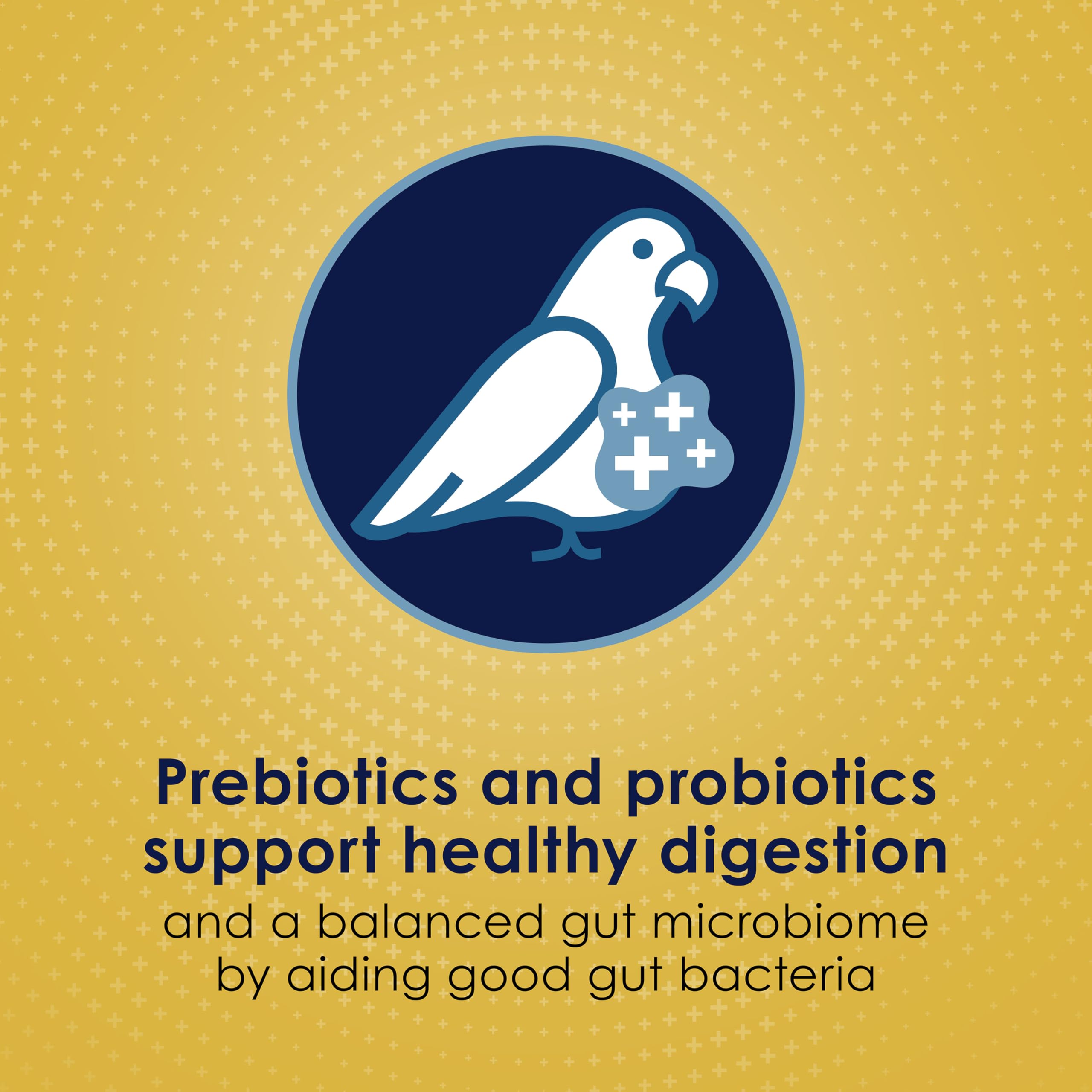 Kaytee Forti-Diet Pro Health Egg-Cite, omega-3 y antioxidantes para función cerebral