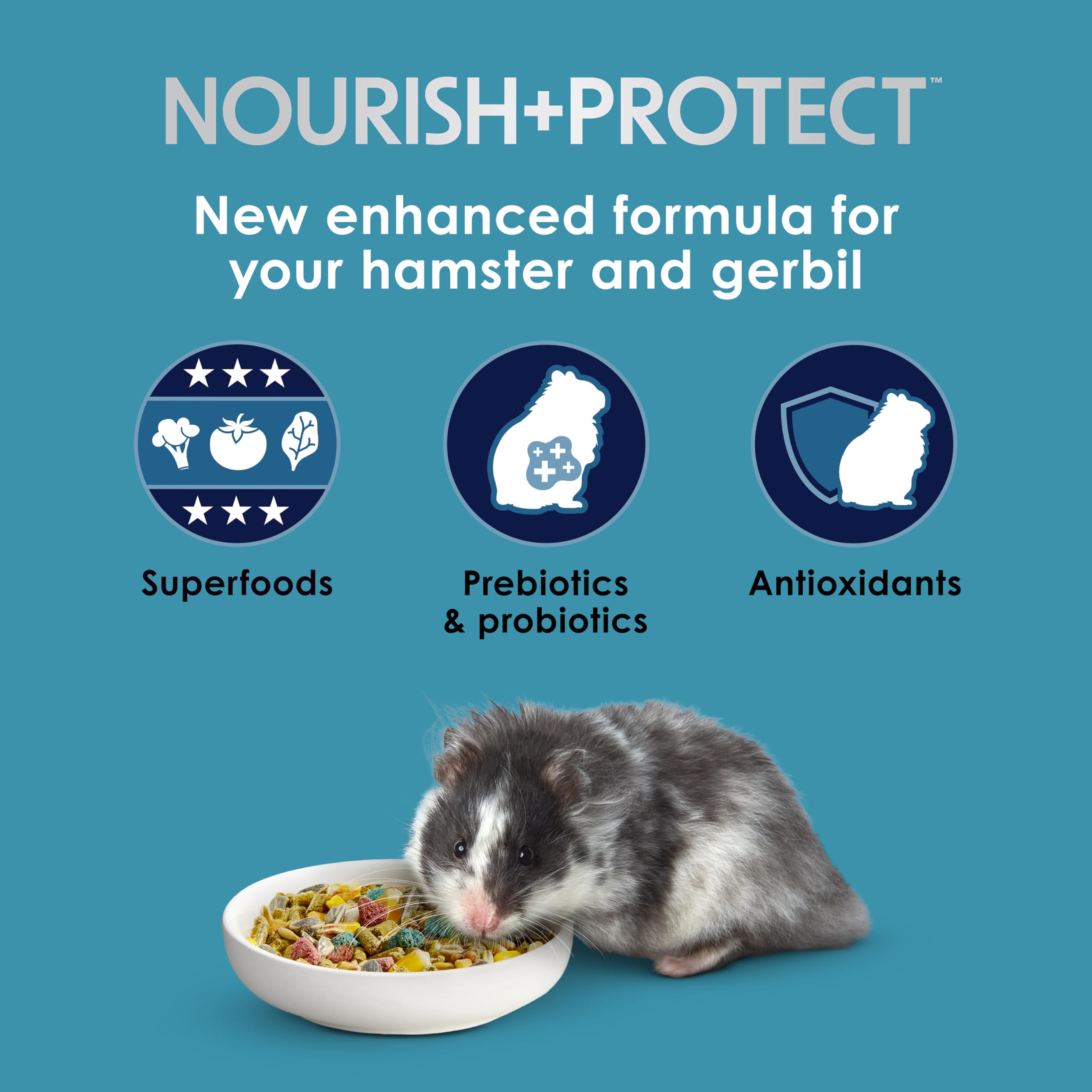 Kaytee Forti-Diet Pro Health para jerbo; pellets crujientes