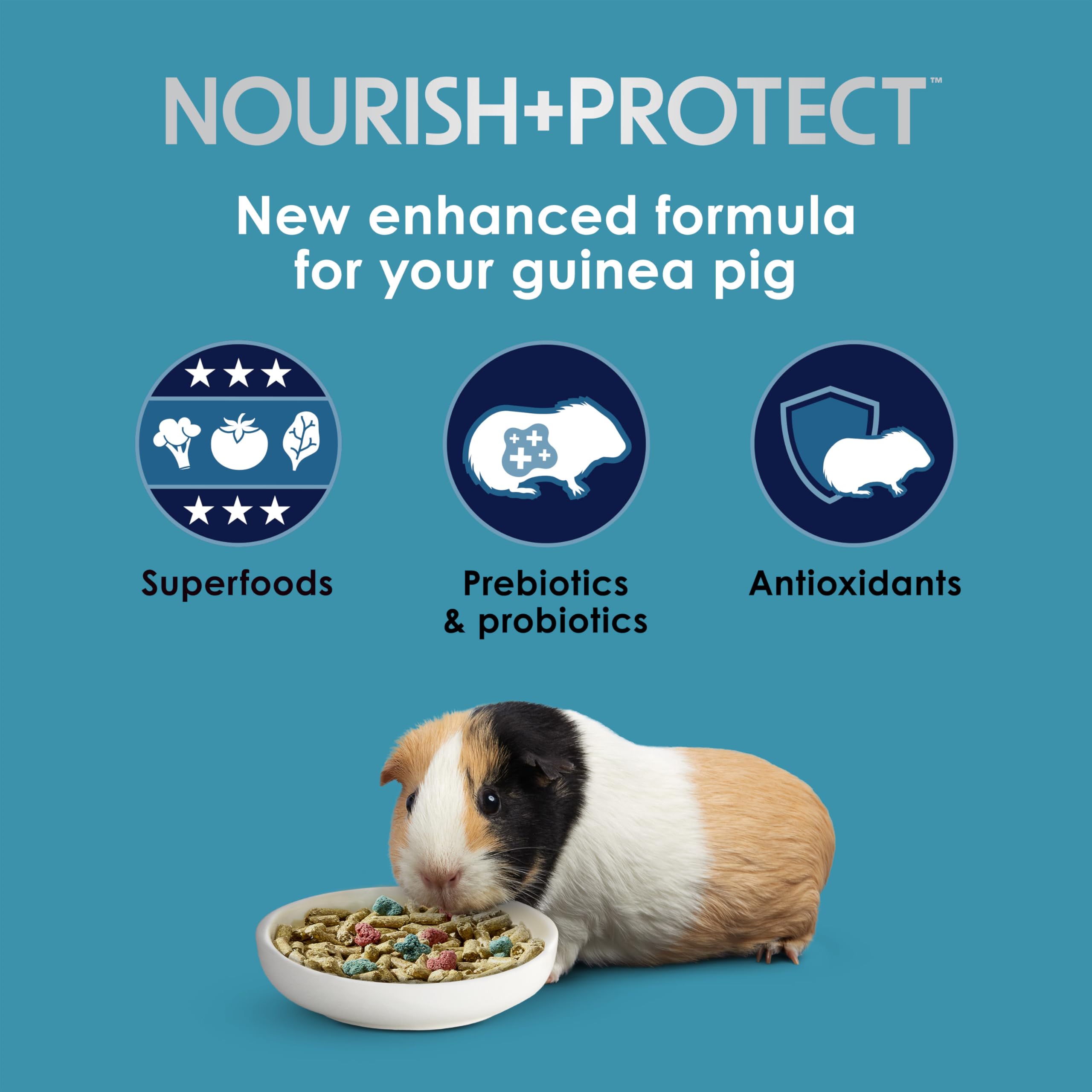 Ingredientes clave linaza de Kaytee Forti-Diet Pro Health Nourish+Protect para antioxidantes.