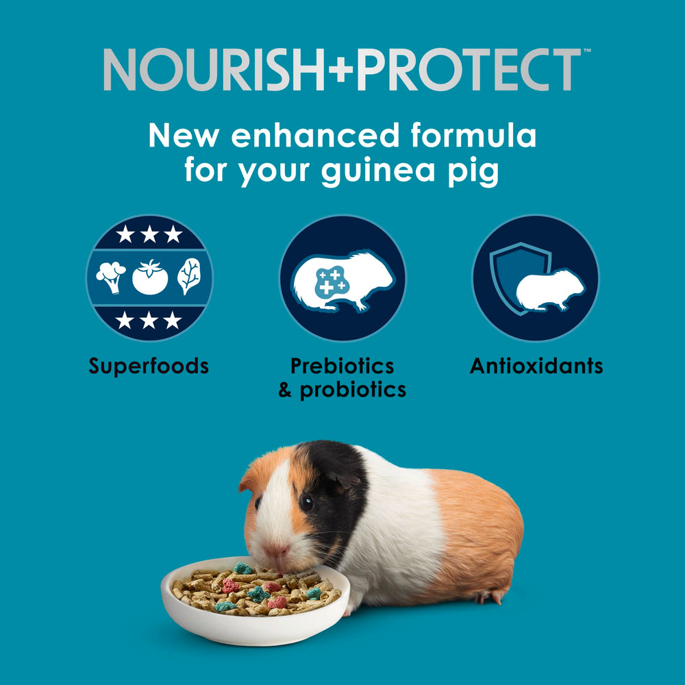Ingredientes clave linaza de Kaytee Forti-Diet Pro Health Nourish+Protect para antioxidantes.