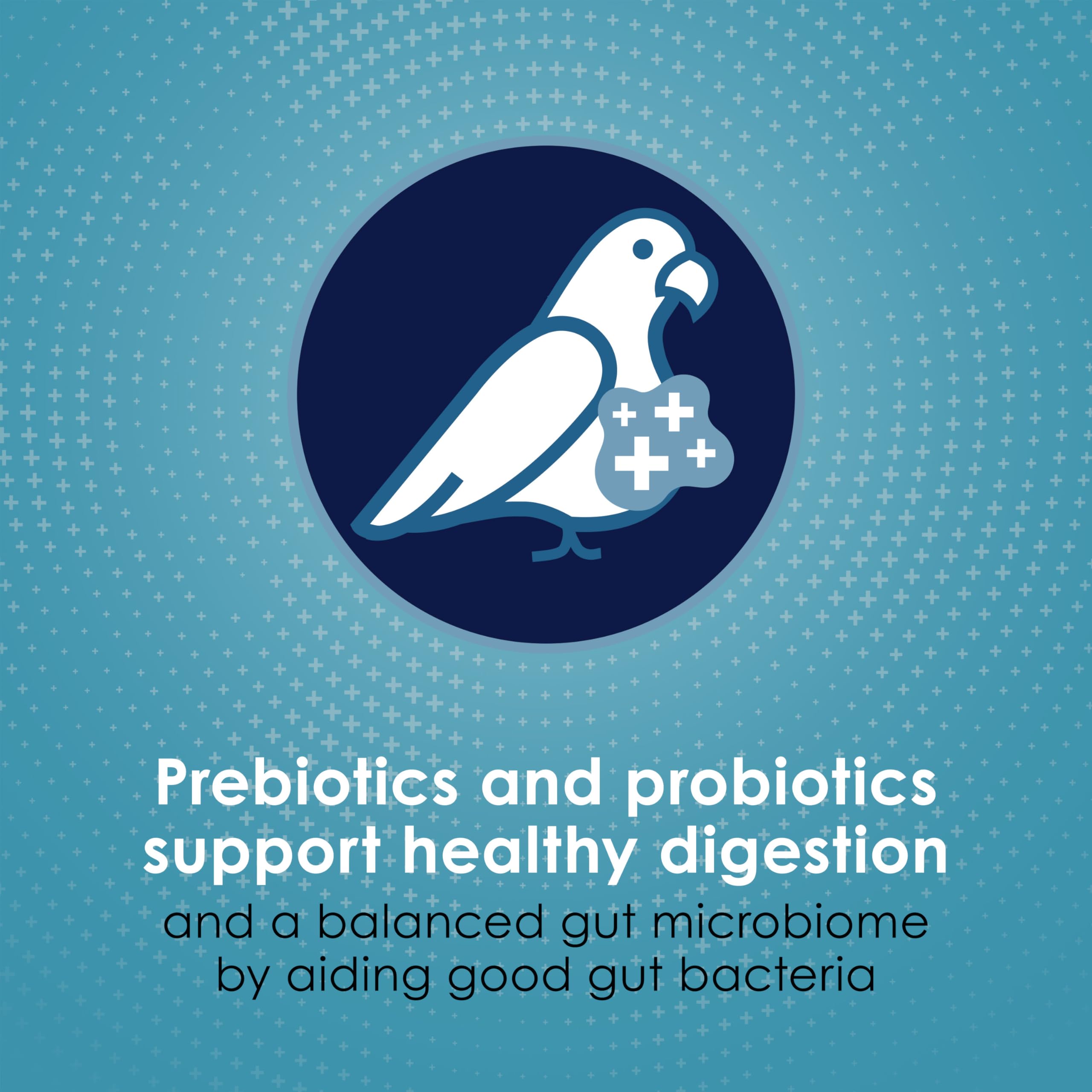 Ingredientes naturales visibles, Kaytee Forti-Diet Pro Health, antioxidantes para apoyo general.