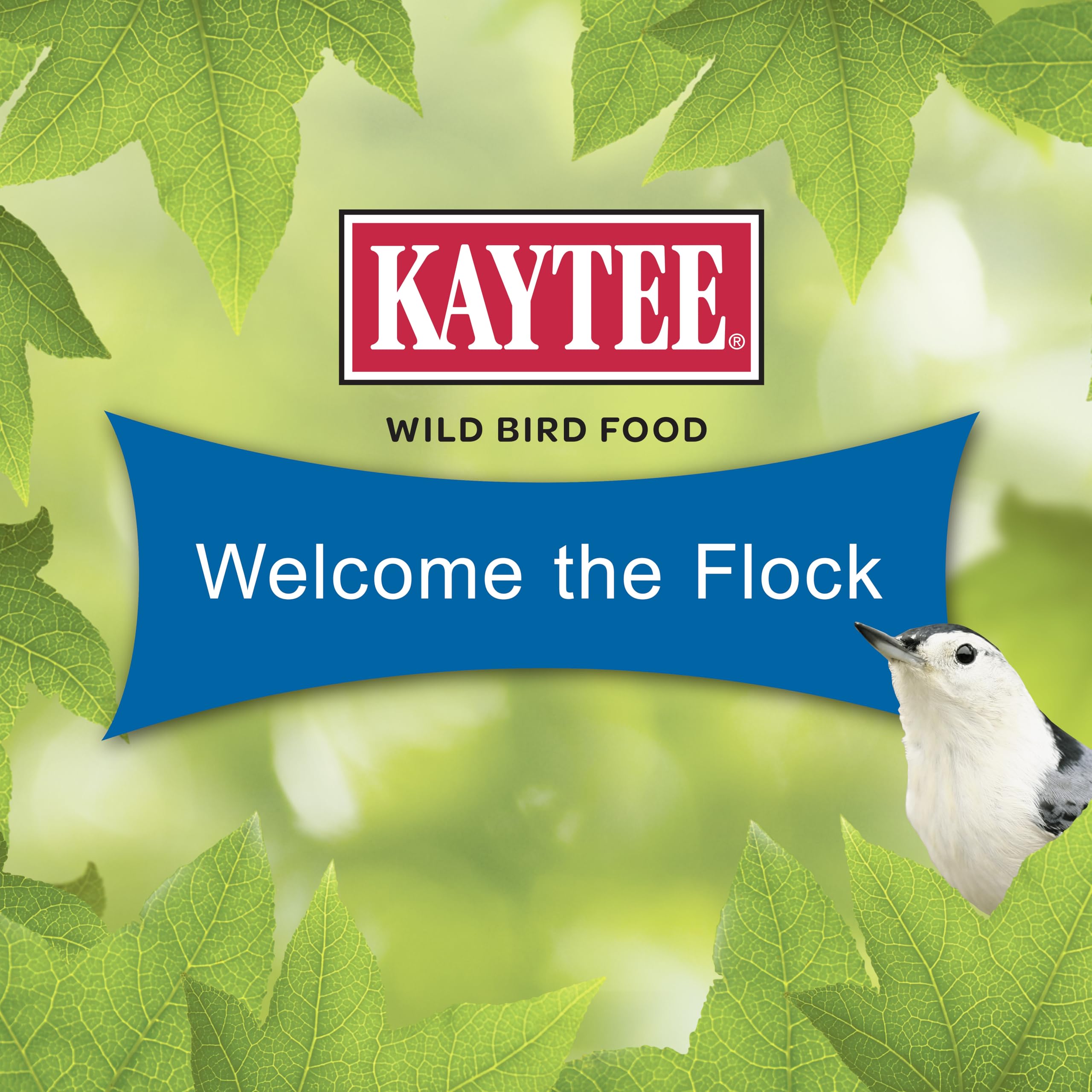 Kaytee Gourmet Seed Cake para jilguueros: favorece escenas coloridas en el jardín