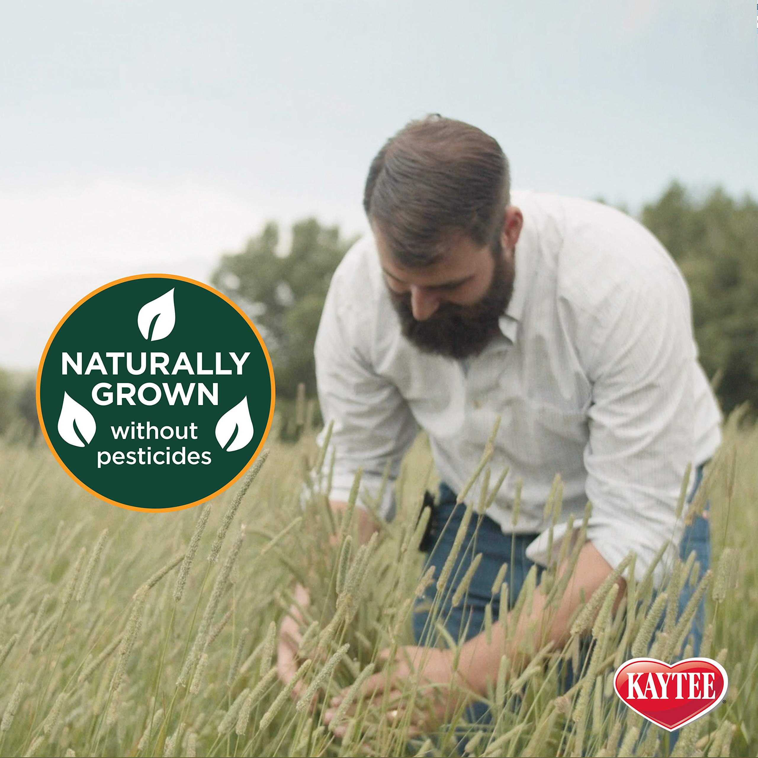 Kaytee heno cultivo sin pesticidas garantiza alimento natural para mascotas.