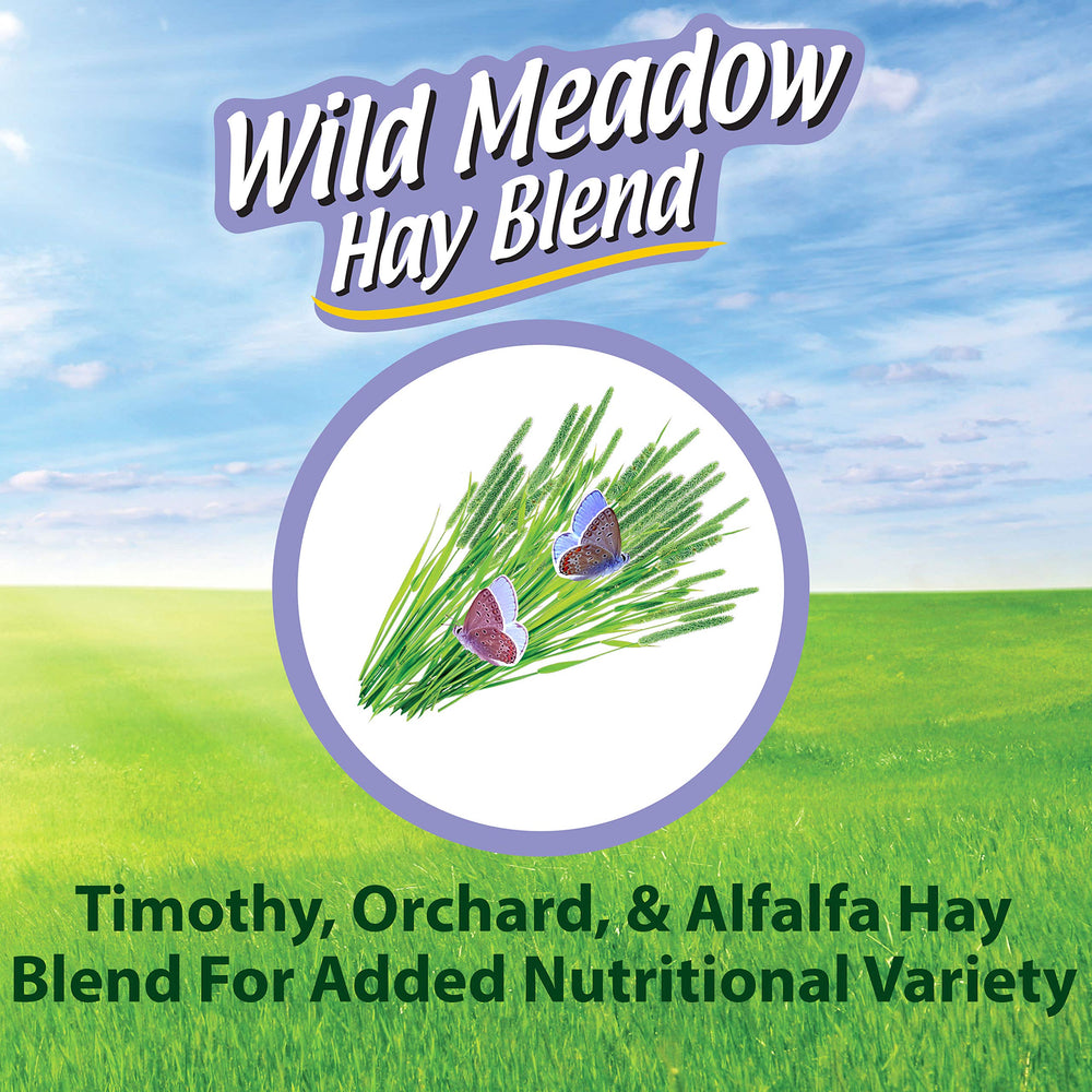 Kaytee heno pradera y alfalfa con texturas variadas para estimulación sensorial diaria.