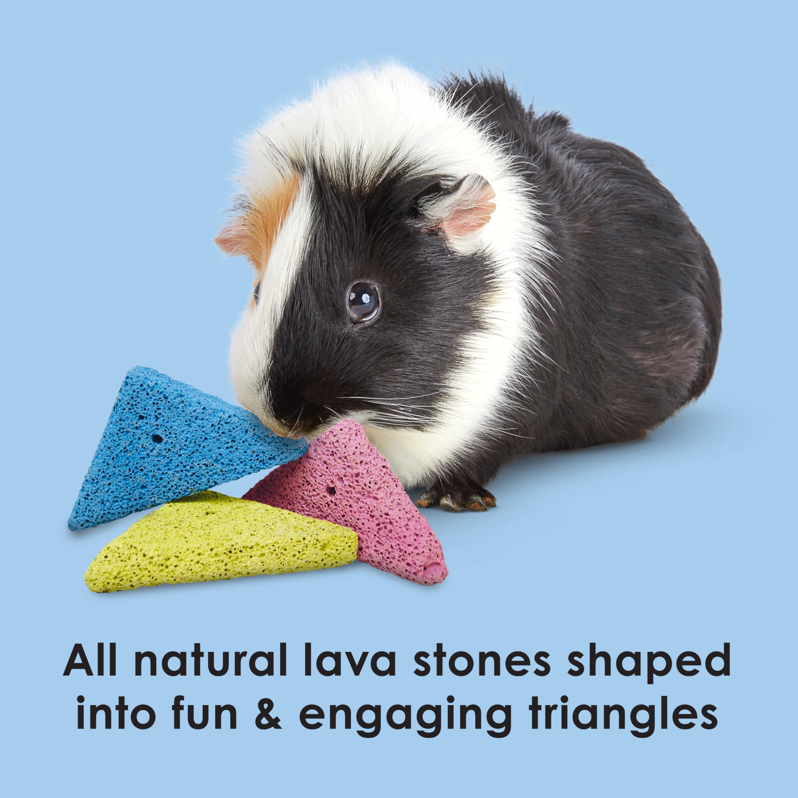 Kaytee Lava Bites para chinchillas: masticación natural y entretenimiento