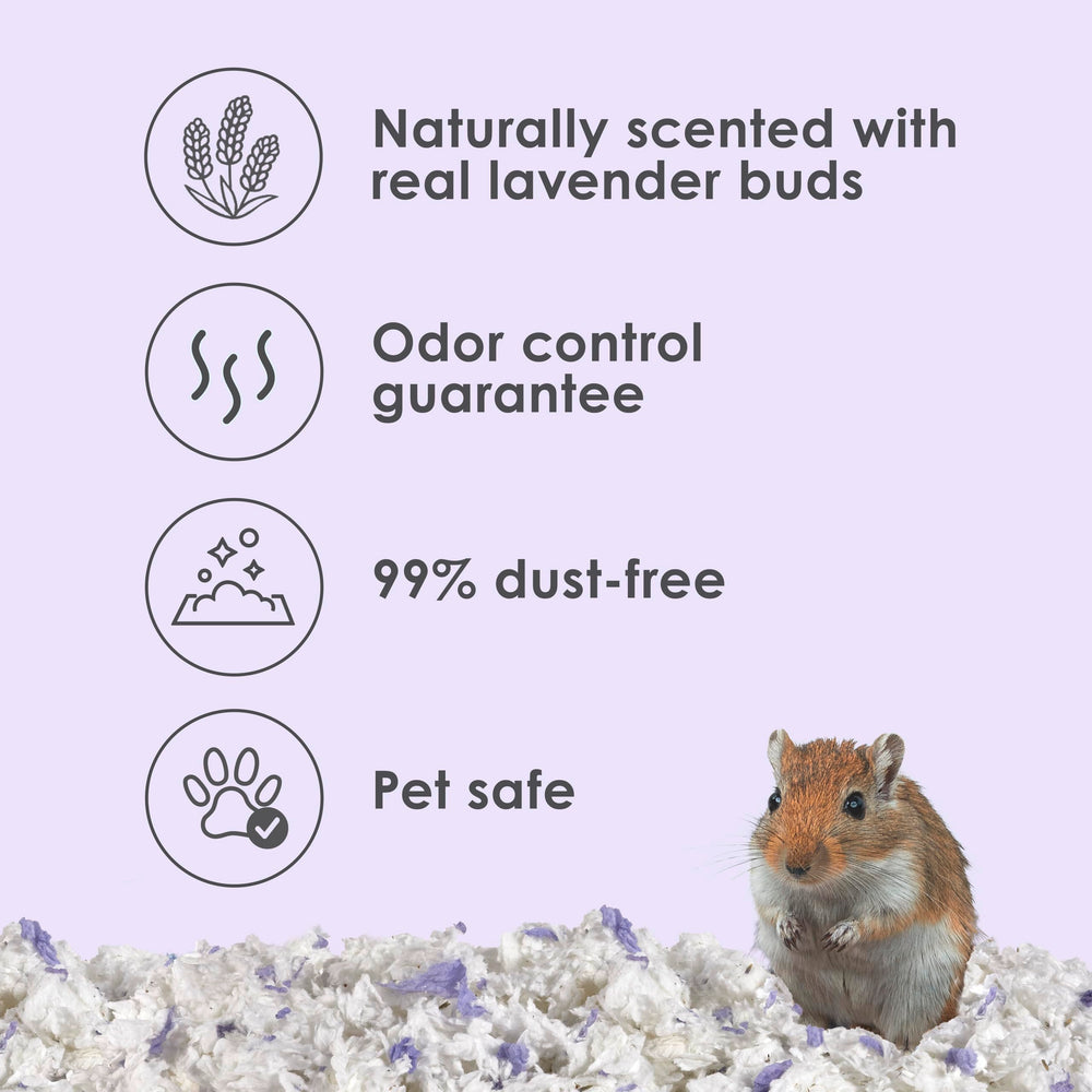 Kaytee Limpio y Acogedor Lavanda con fragancia natural de lavanda.