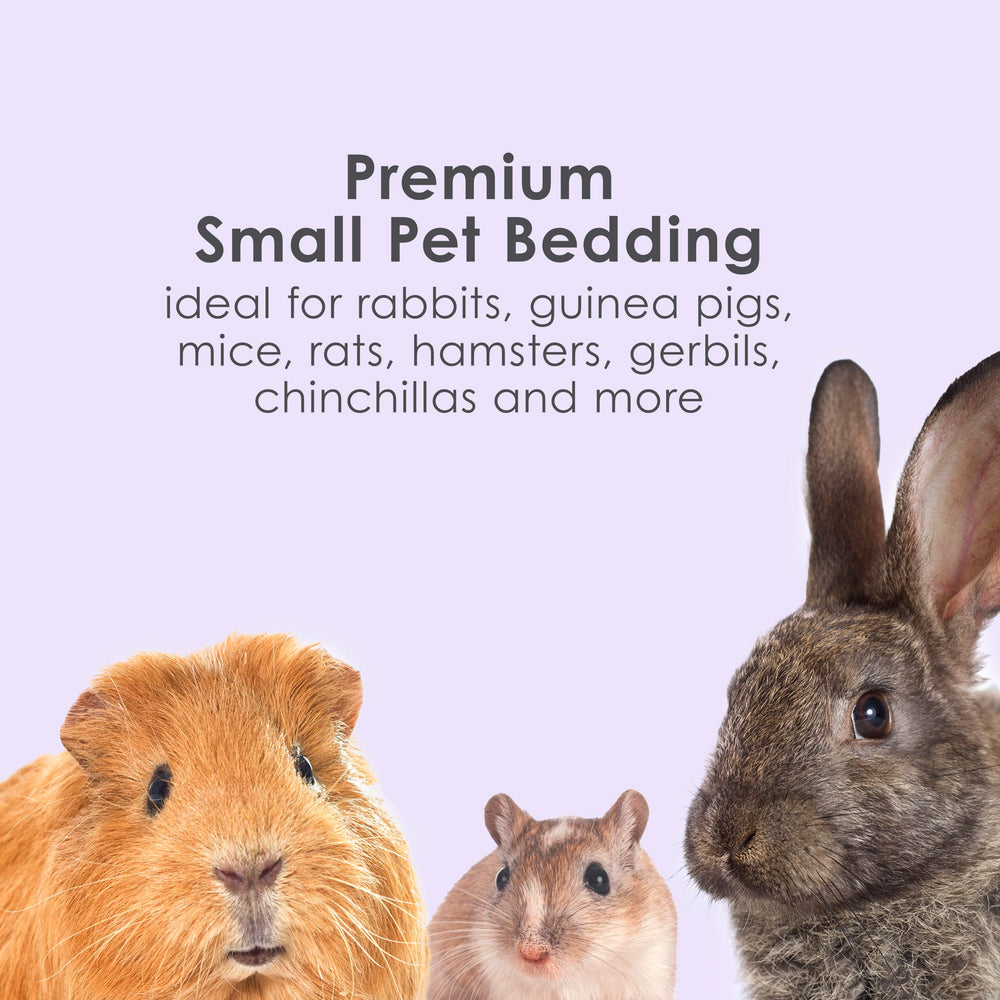 Kaytee Limpio y Acogedor Lavanda suave para las patas de tu mascota.