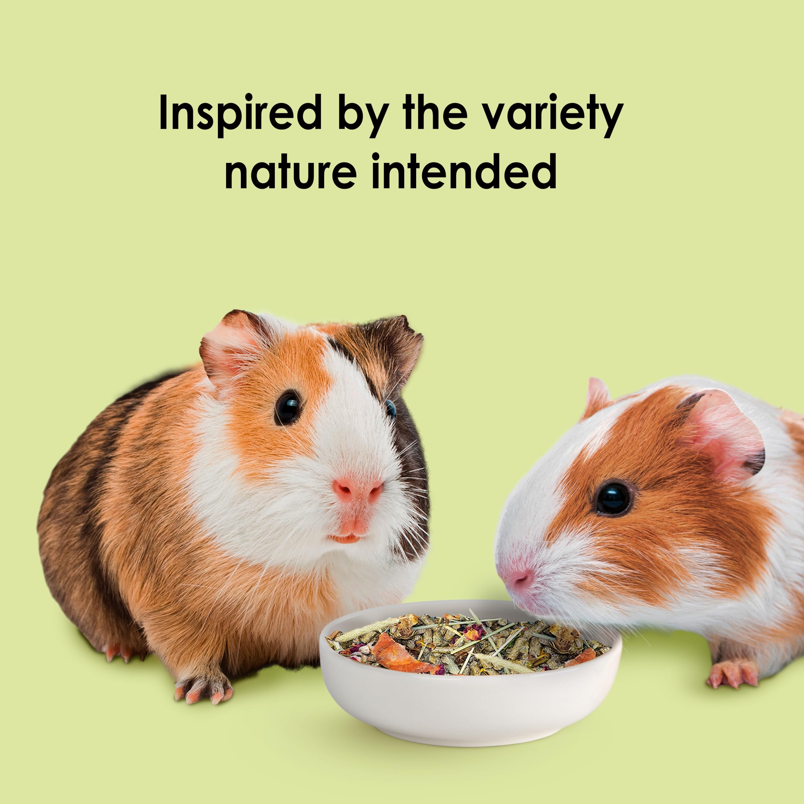 Kaytee Mezcla natural para cobayas: dieta completa para forraje y exploración.