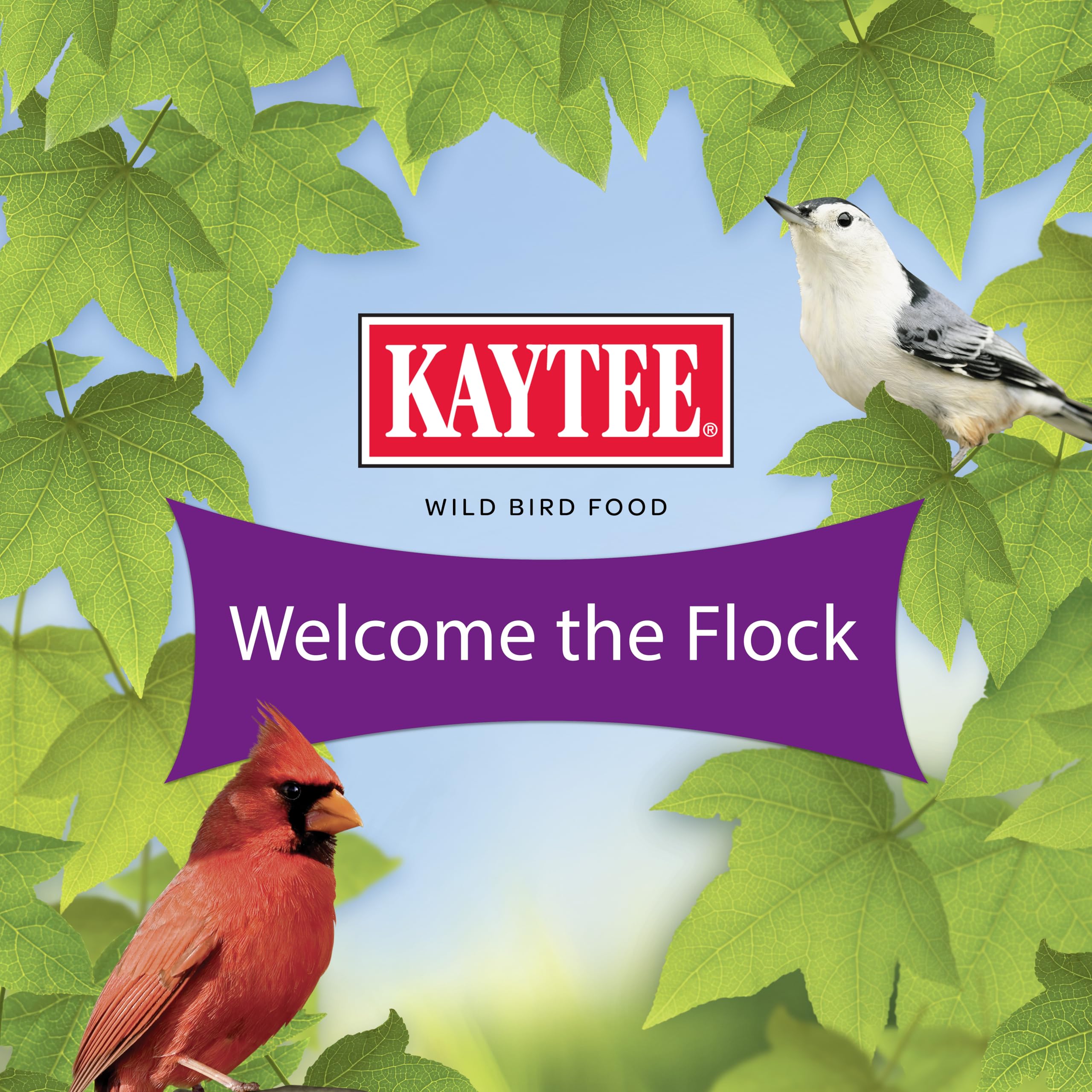 Kaytee Nut & Fruit: pájaros de pico grueso encuentran sabor nutritivo.