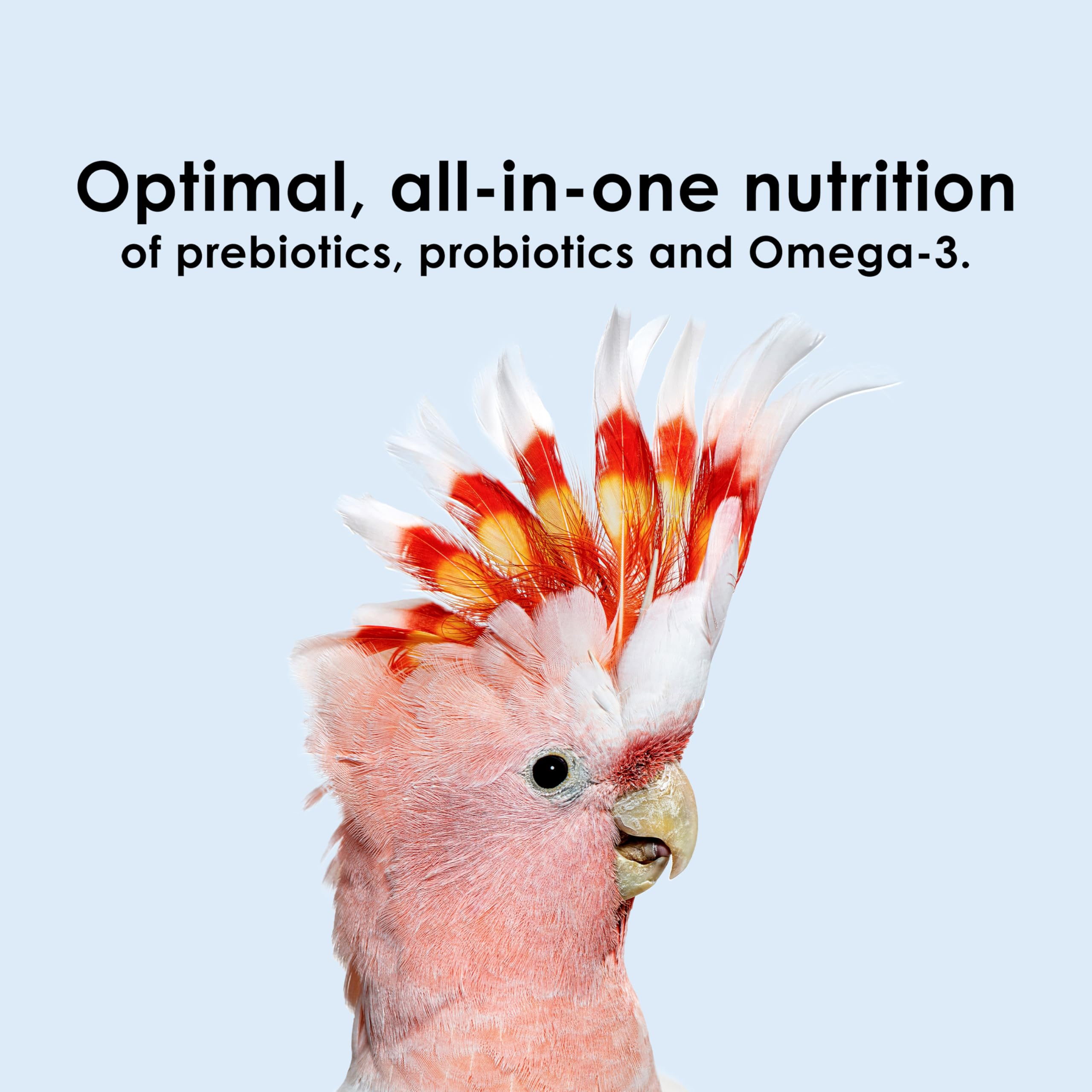Kaytee Nutri Soft sin colorantes artificiales, opción natural para la dieta de aves.