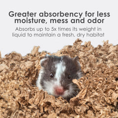 Kaytee Clean & Cozy: papel natural reciclado, opción ecológica para tu mascota
