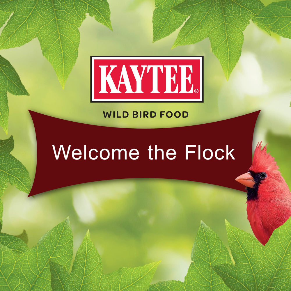 Kaytee Pastel de Semillas Cardinales: atrae cardenales rojos y otras aves.