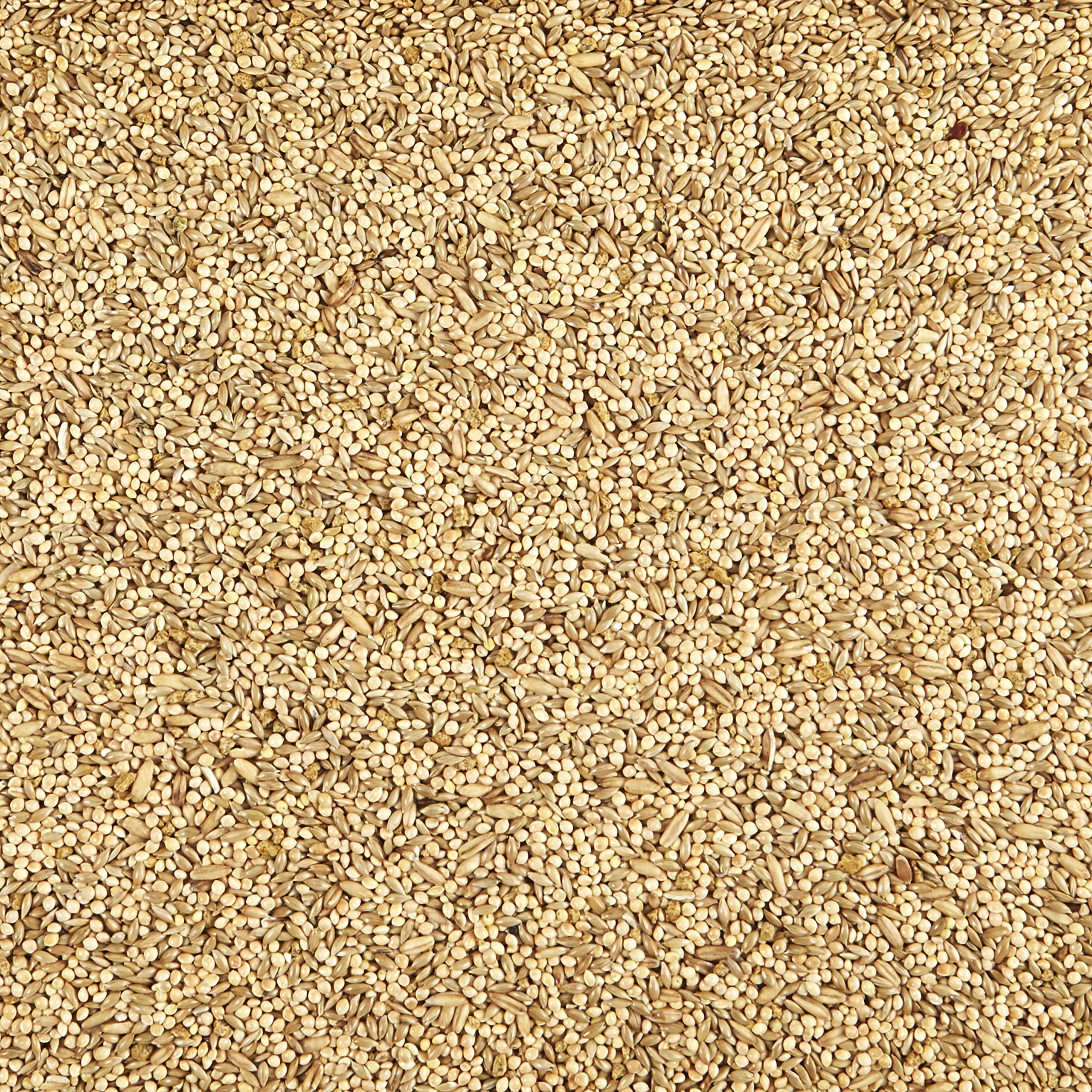 Kaytee Supreme para periquitos, bolsa destaca ingredientes naturales para una dieta completa y daily.