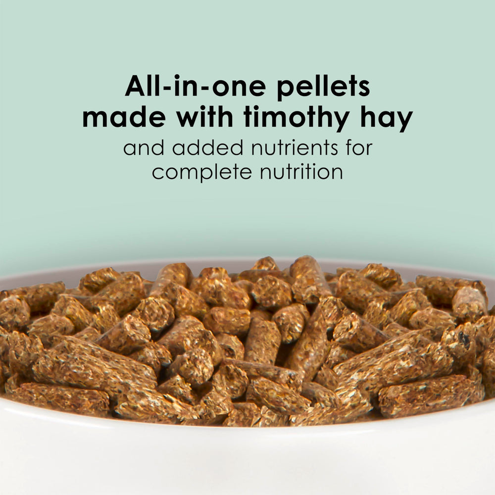 Pellets de Kaytee Timothy en primer plano, textura rica en fibra.