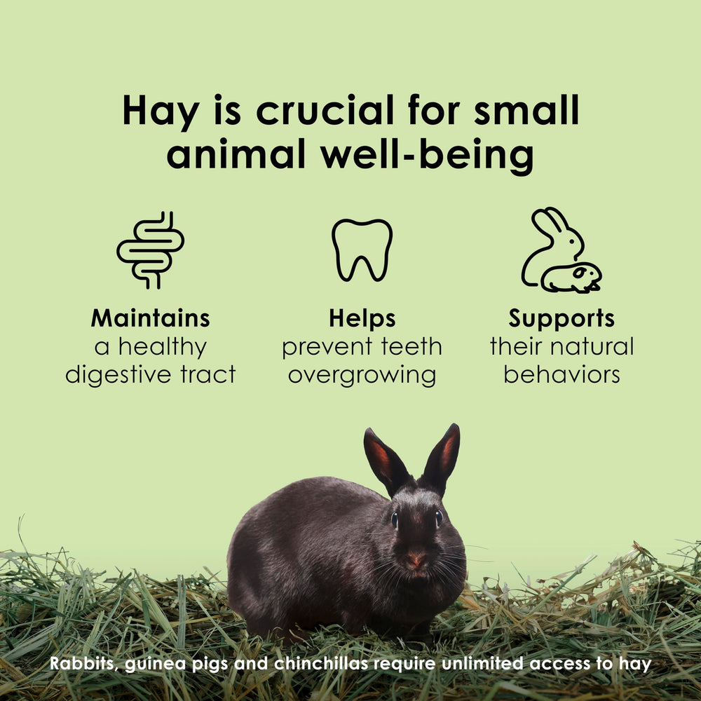 Cultivado específicamente para mascotas pequeñas, mayor valor nutricional.
