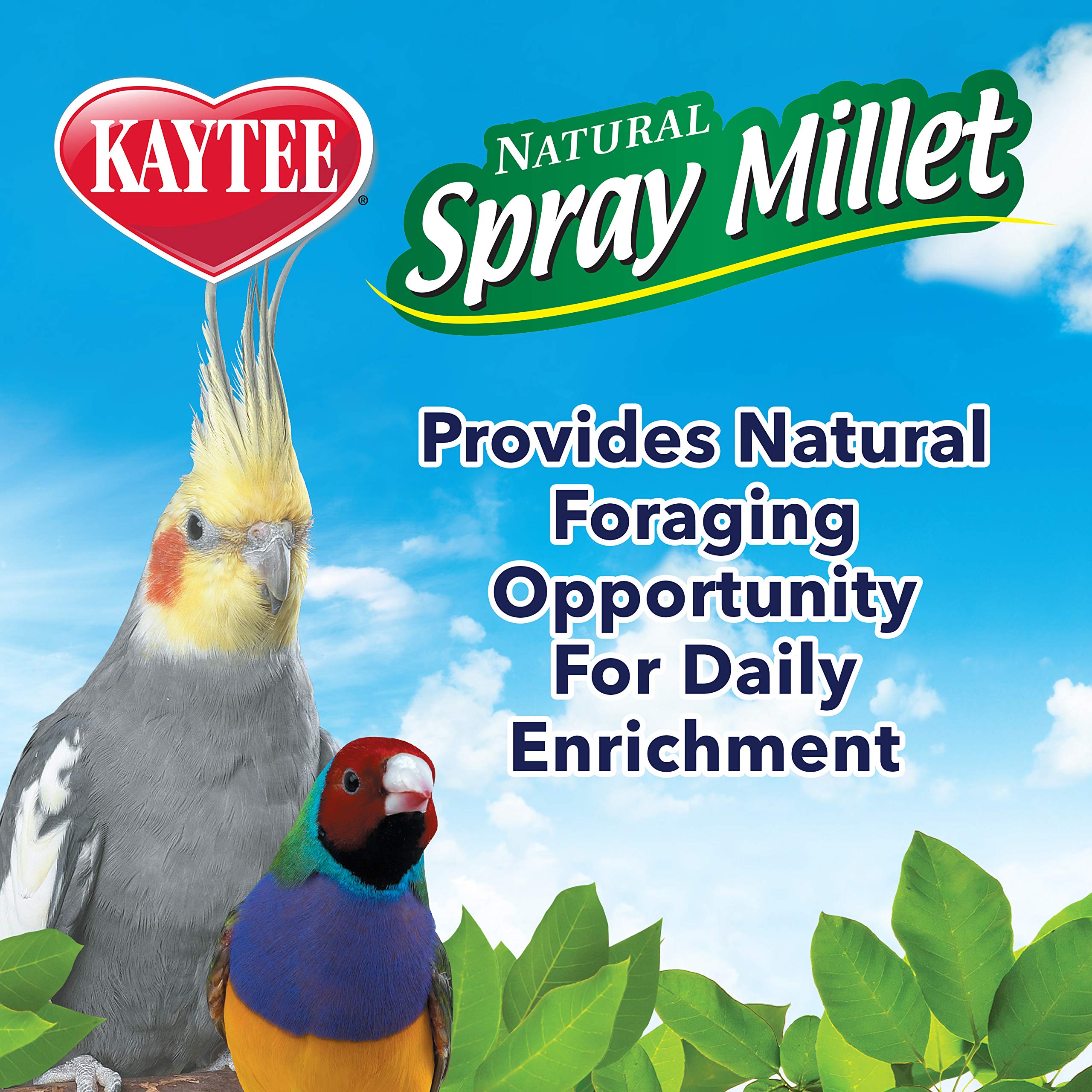 Etiqueta del producto Kaytee con información nutricional para aves.