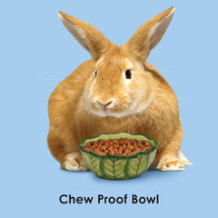 Kaytee Vege-T-Bowl con capacidad de 16 onzas para alimento o bebida.