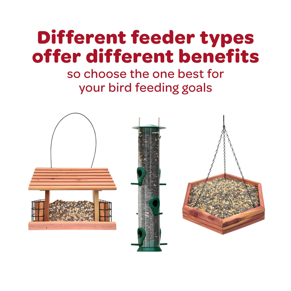 Kaytee Wild Finch Blend: mezcla de mijo, nyjer y canario para variedad nutritiva.