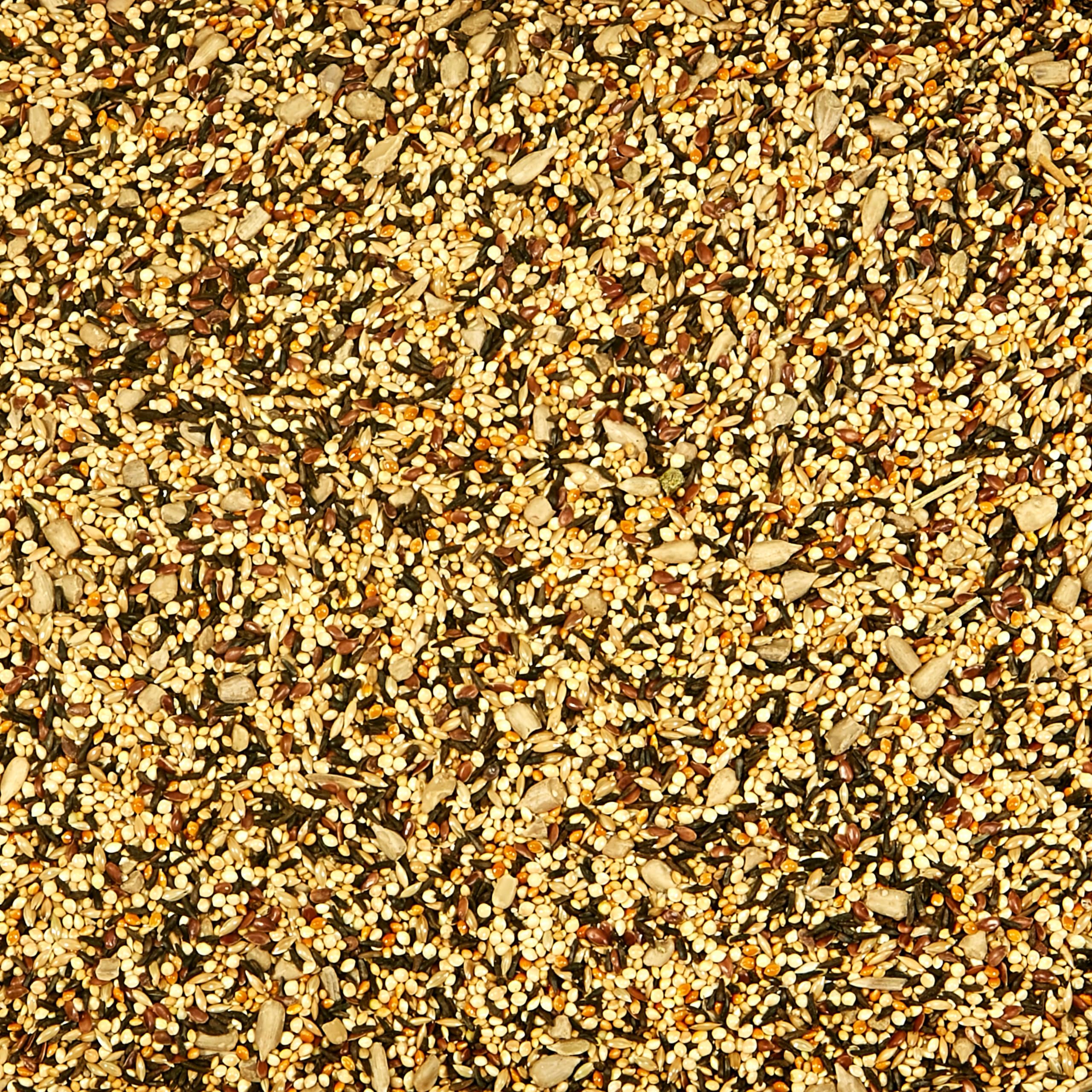 Granos pequeños de Kaytee Wild Finch aptos para picos diminutos.