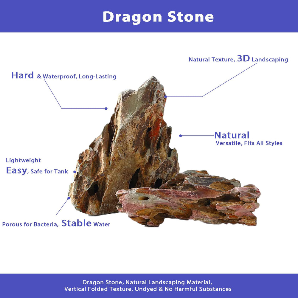 kecilke piedra dragón con huecos naturales ideal acuario