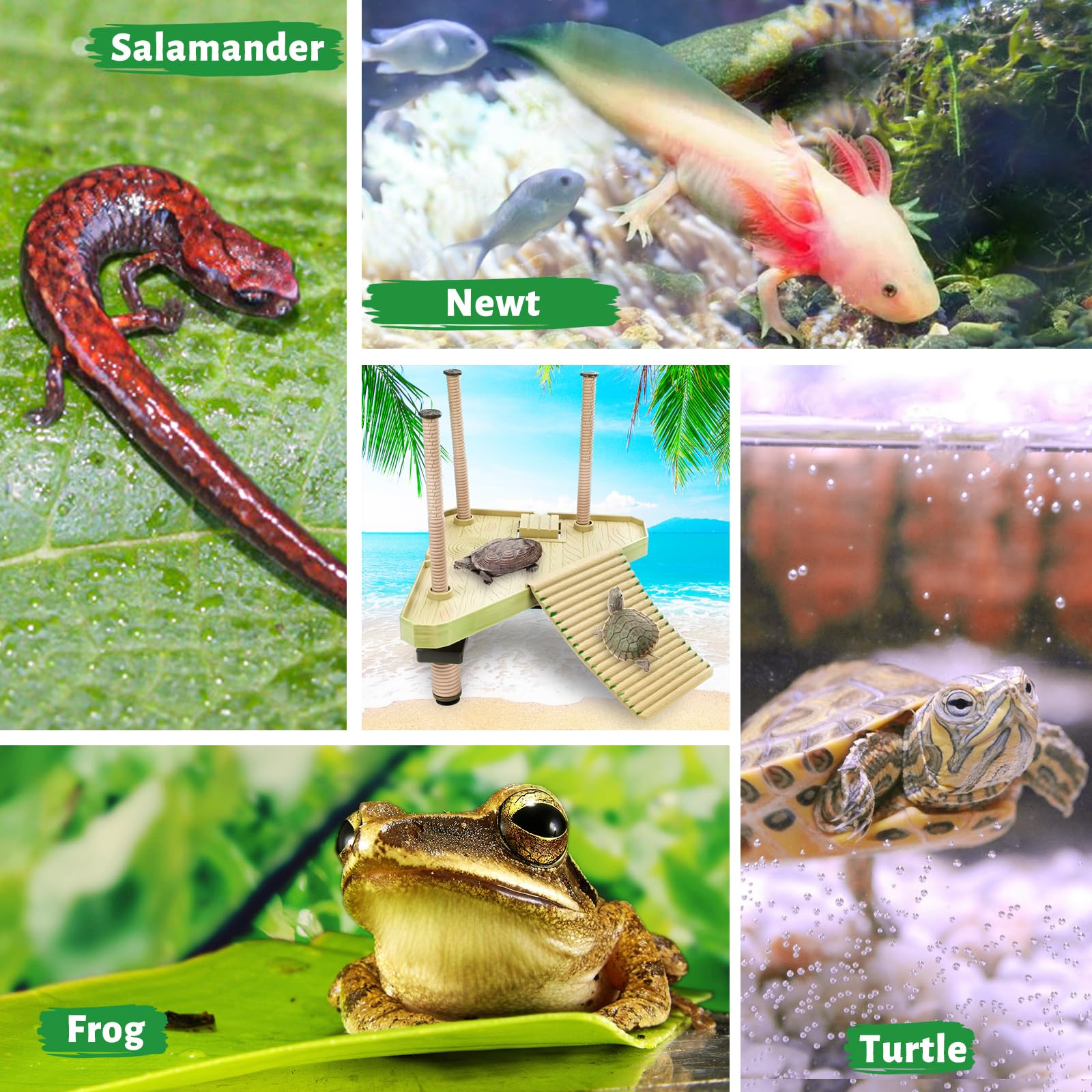Keedolla acceso al agua fácil, diseño seguro para el día a día