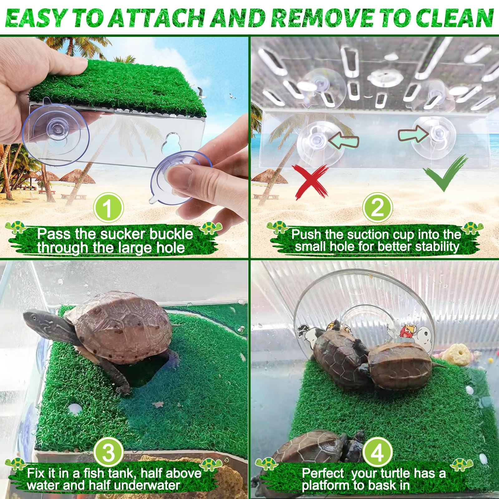 Keedolla tortuga: mejora estética del hábitat y limpieza fácil.