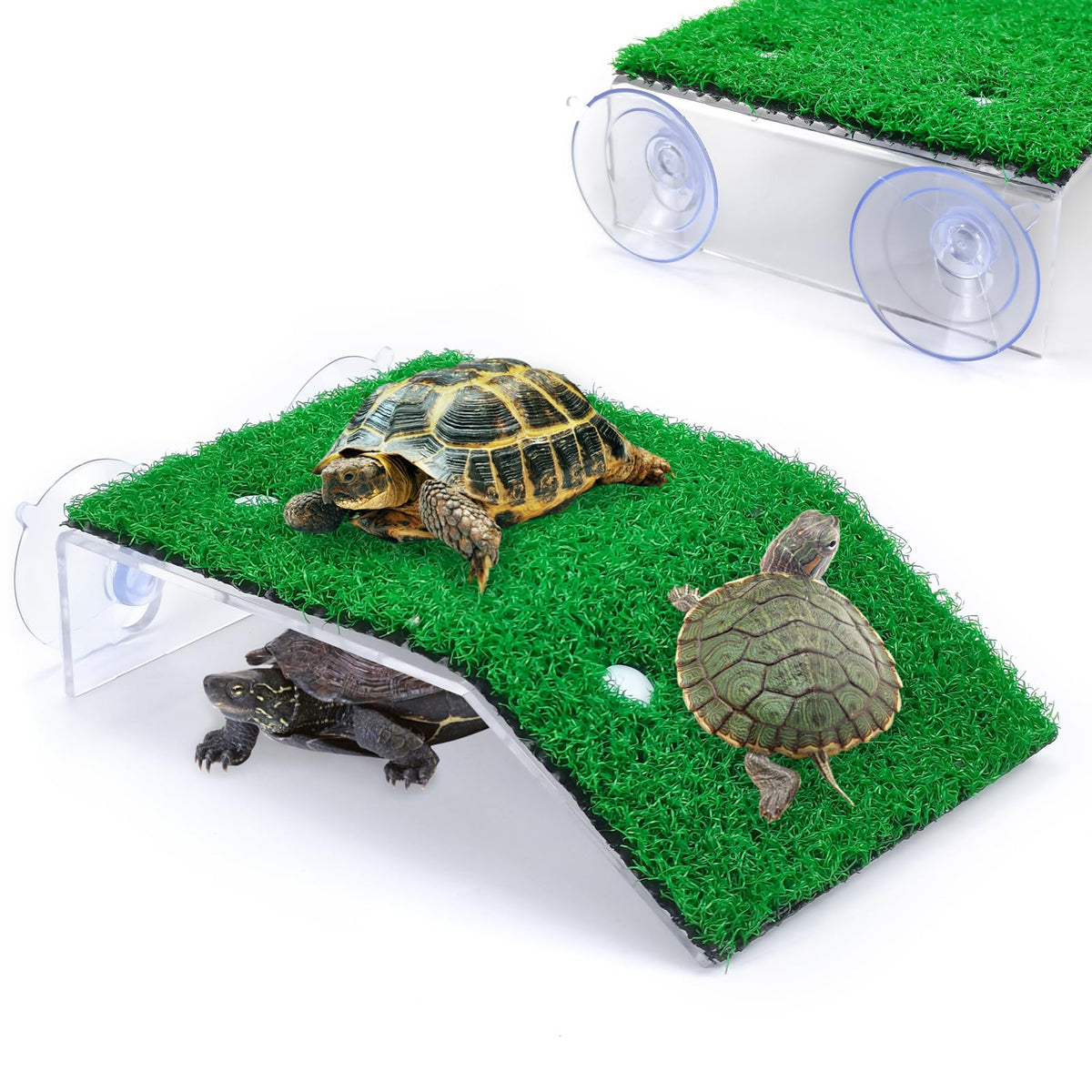 Keedolla tortuga: plataforma de descanso con césped artificial para tomar el sol.
