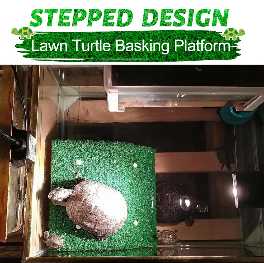 Keedolla tortuga: superficie amplia para descansar y calentarse.