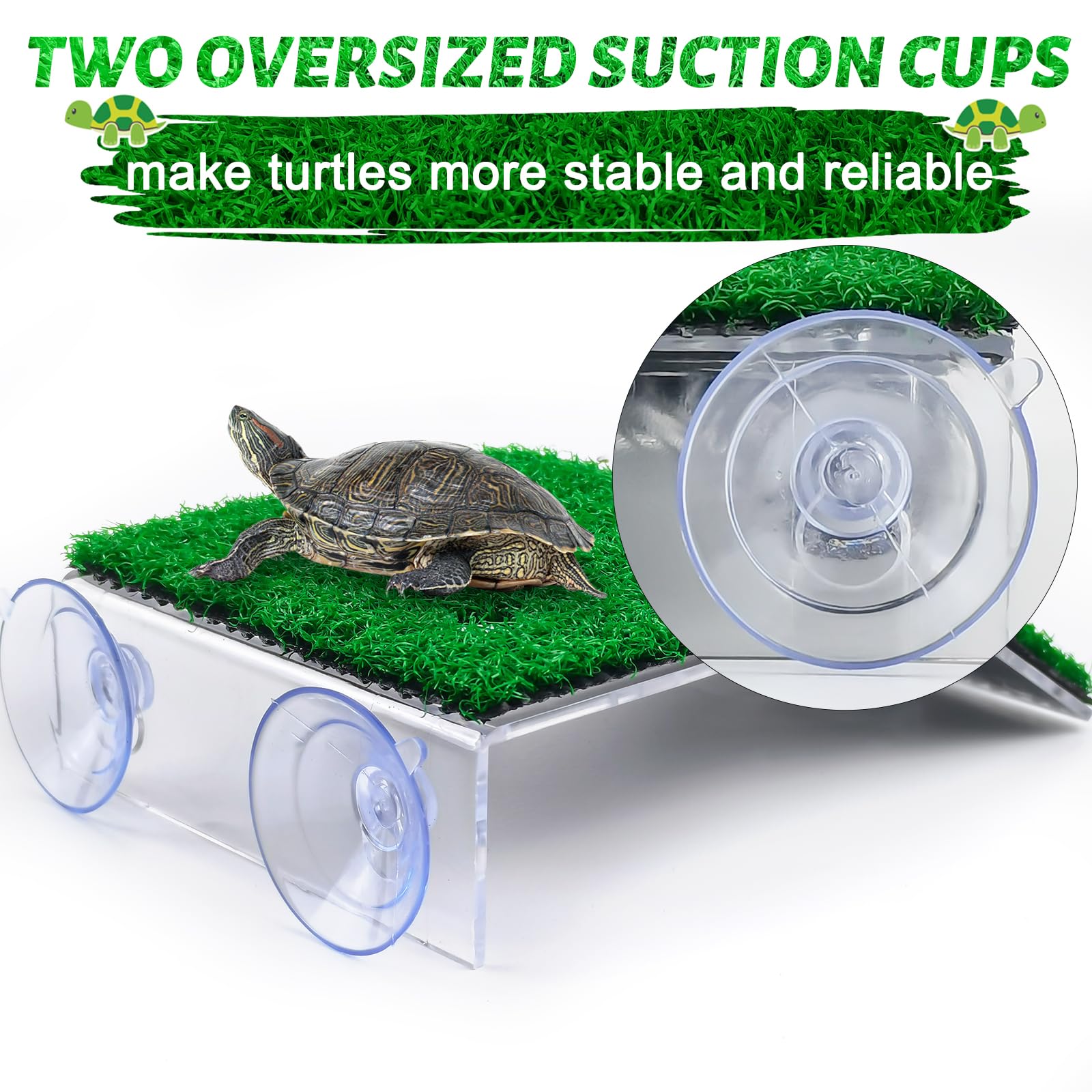 Keedolla tortuga con ventosas dobles que fijan la rampa para uso estable.