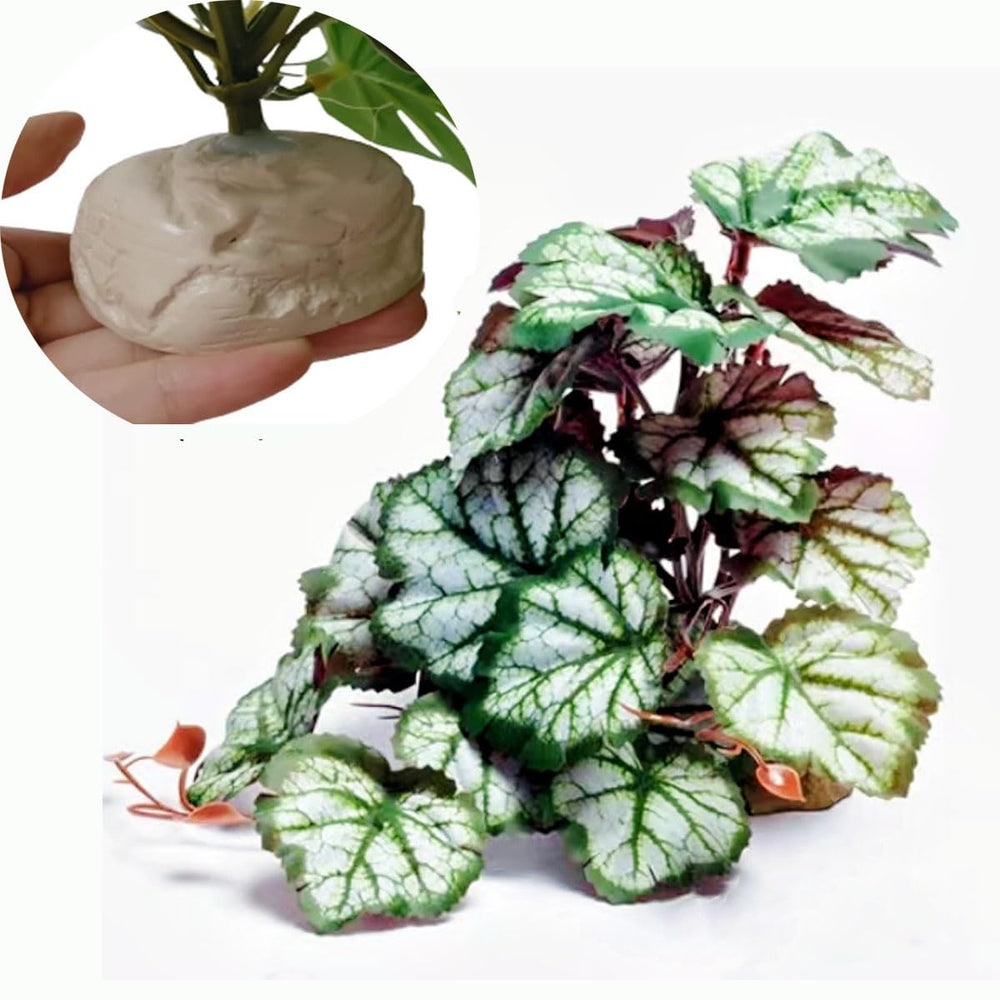 KERUIDENG Plantas Reptiles - base pesada para terrario estable.