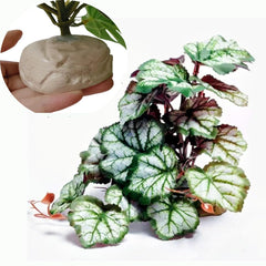 KERUIDENG Plantas Reptiles - base pesada para terrario estable.
