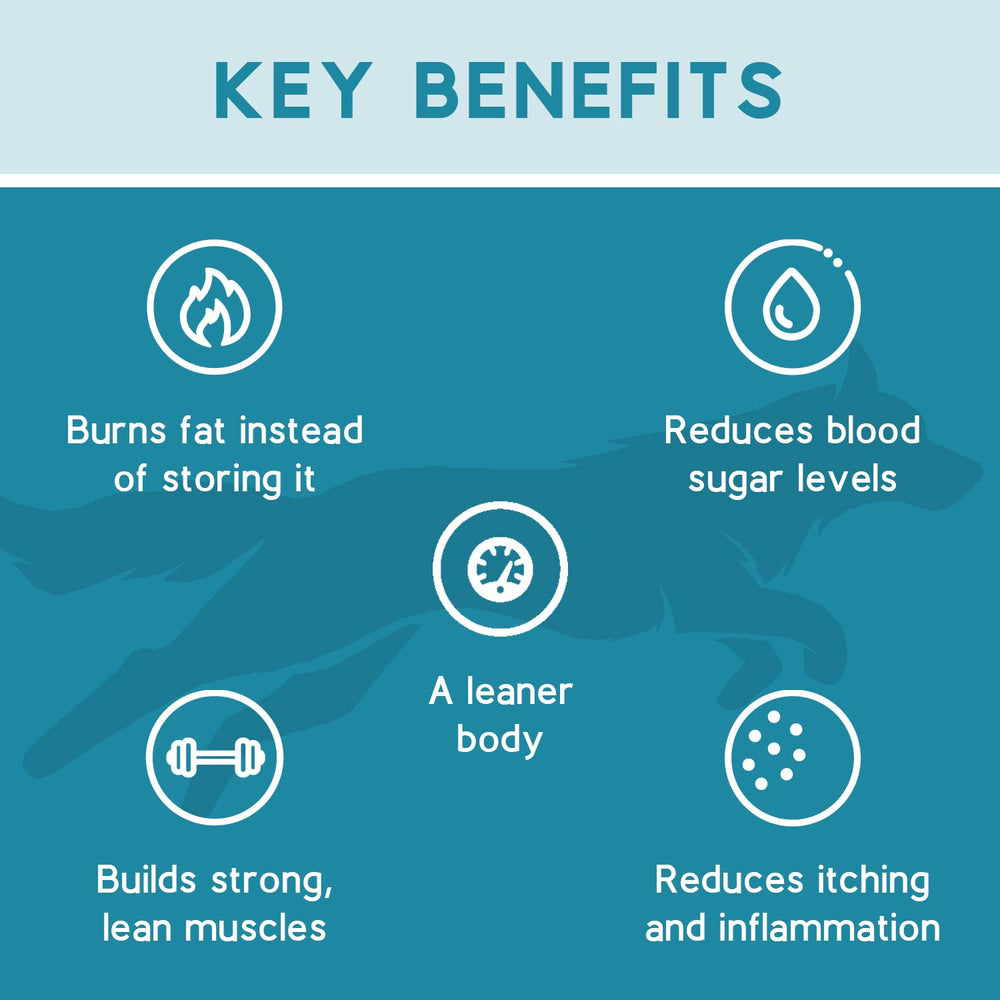 Ketona, baja en carbohidratos con solo 5% para dieta equilibrada.