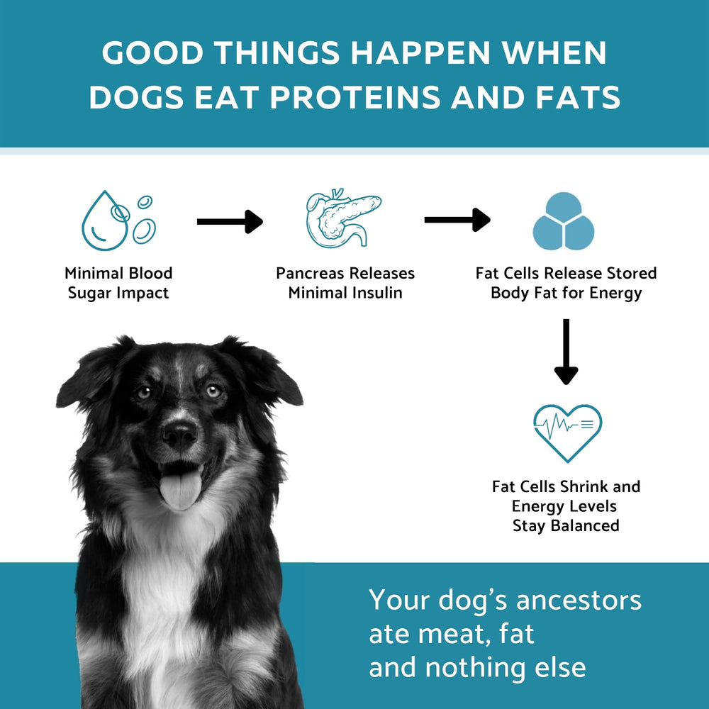 Ketona dieta natural sin granos para perros con gusto al salmón.