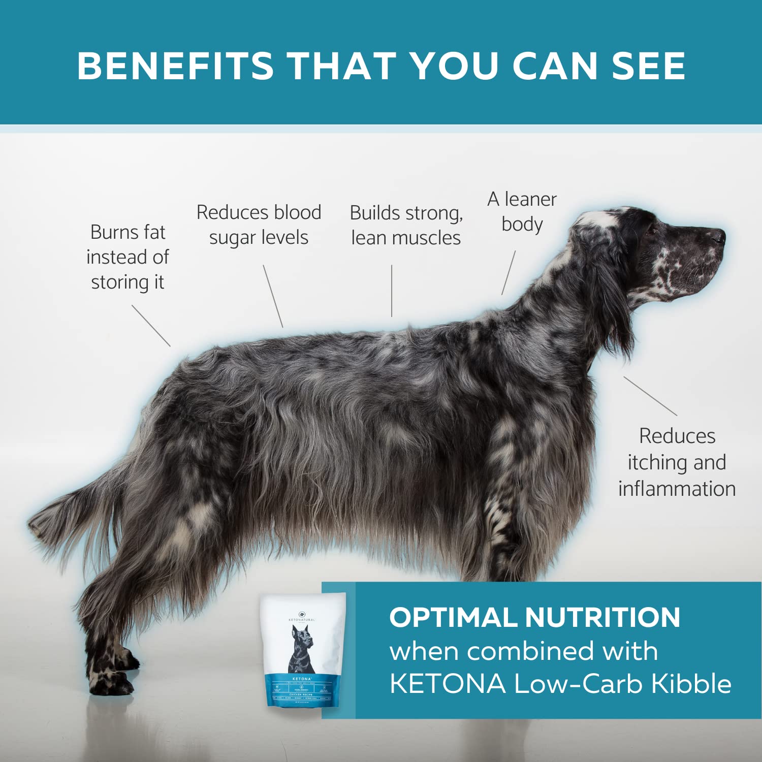 Ketona bocado de hígado de pollo, alto en proteína para perros.