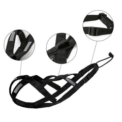 KH866 arnés X-Back para trineo y esquí de tiro, control y seguridad