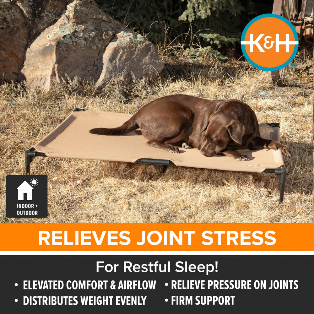 K&H Pet Products estructura de metal duradera para camas elevadas grandes.