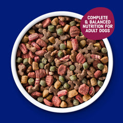 Kibbles n Bits trozos carne bistec, comida atractiva para comer con gusto.
