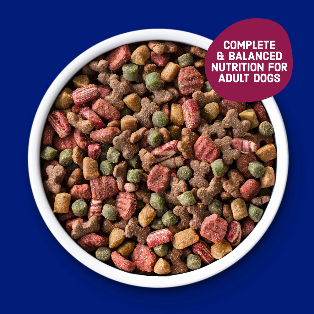 Kibbles 'n Bits crunchy-kibbles-texture image showing satisfying crunch
