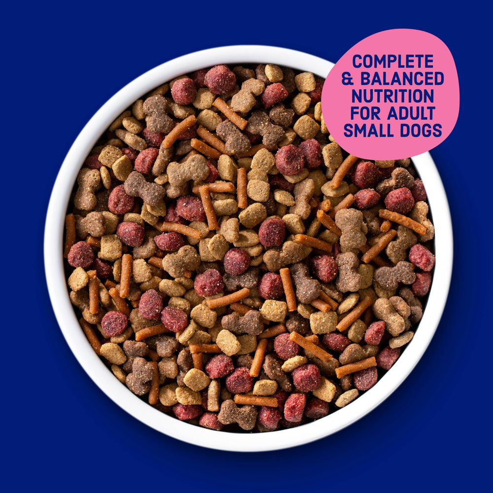 Mini Bits de Kibbles 'n Bits piezas pequeñas para mordidas fáciles