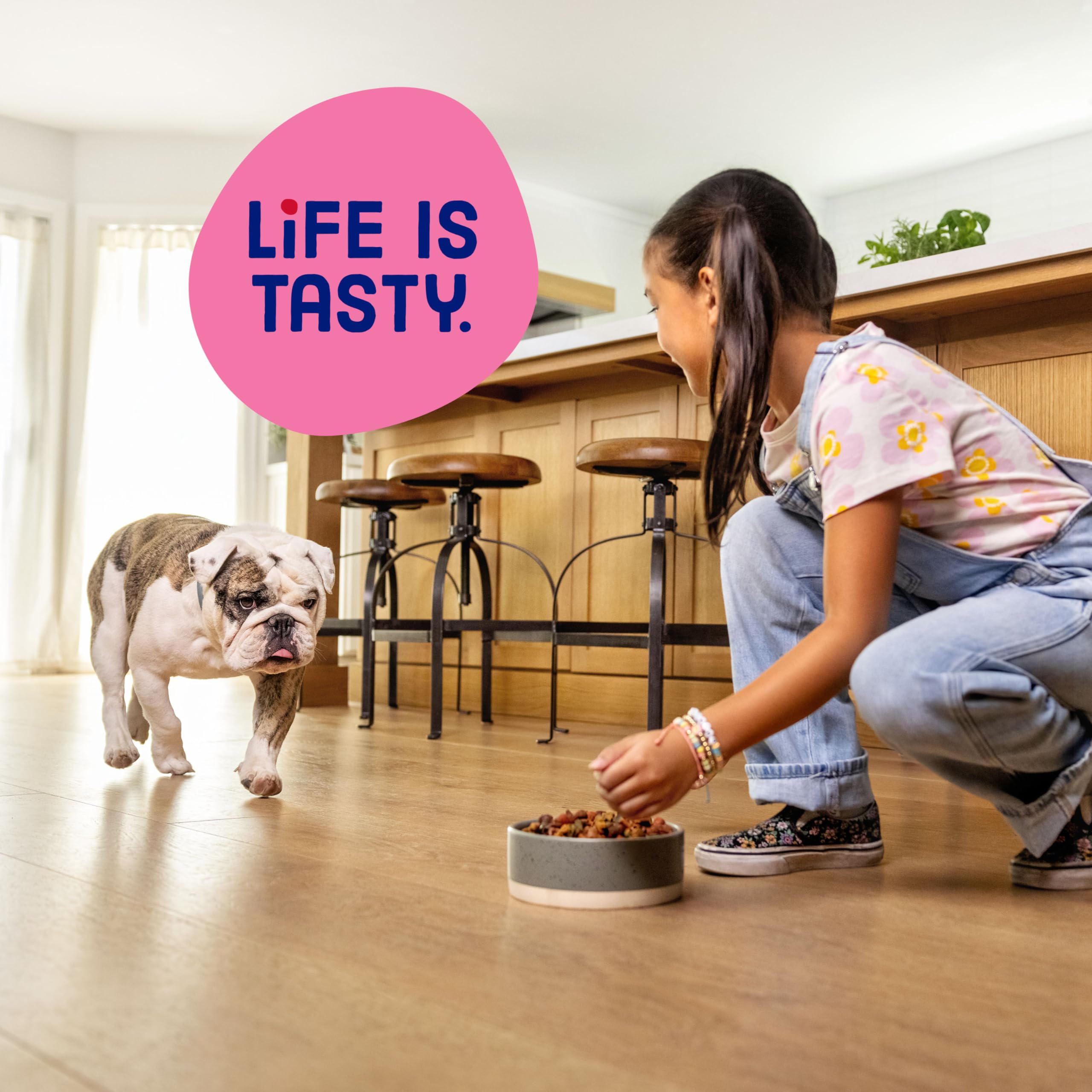 Kibbles 'n Bits Mini Bits: nutrición confiable para razas pequeñas.