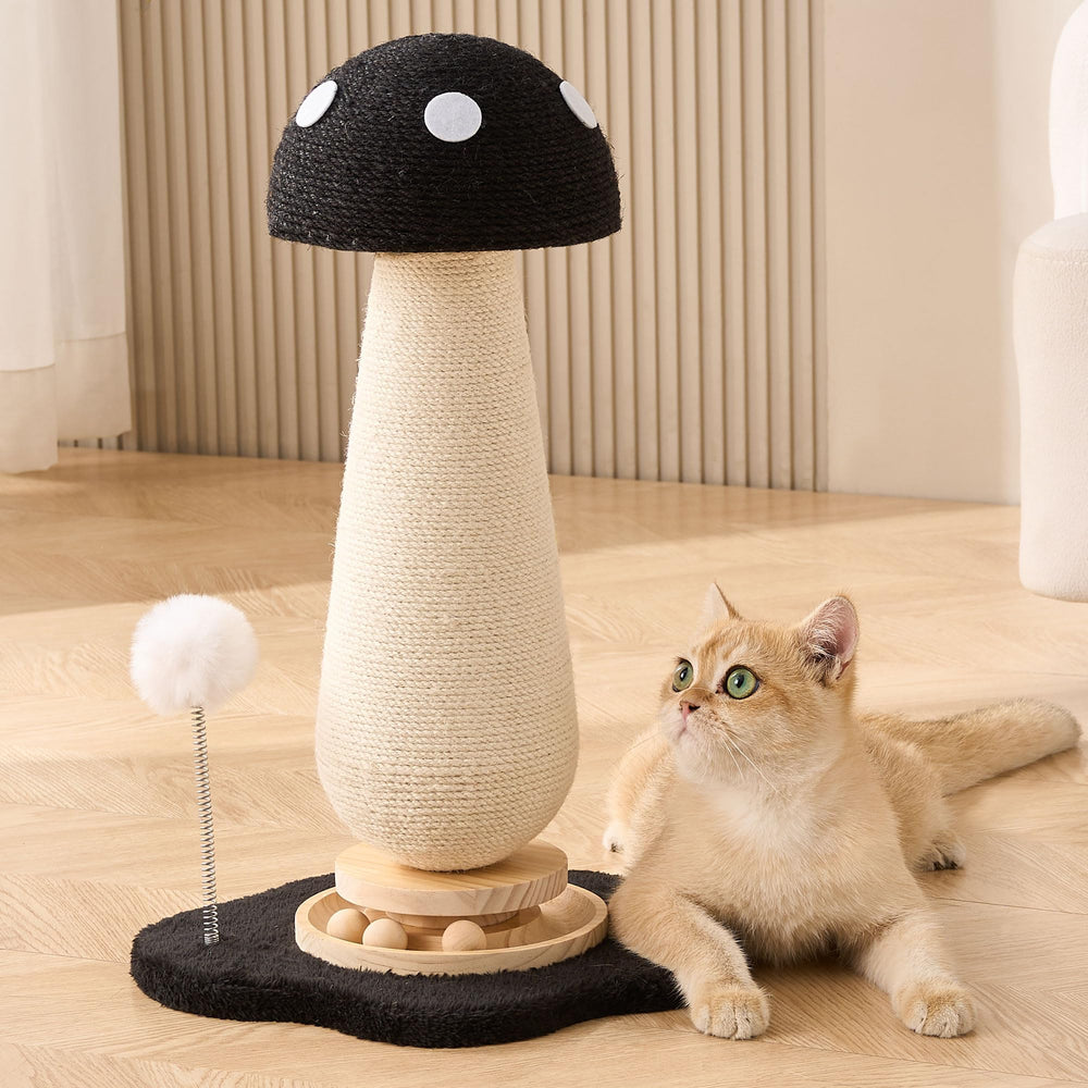 Kicari rascador-gato hongo de 54 cm para estiramientos amplios.