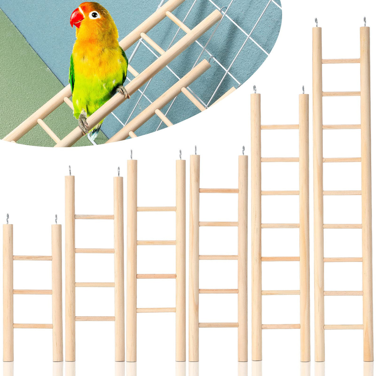 Kigeli escalera de madera para aves, robusta para trepar diariamente.