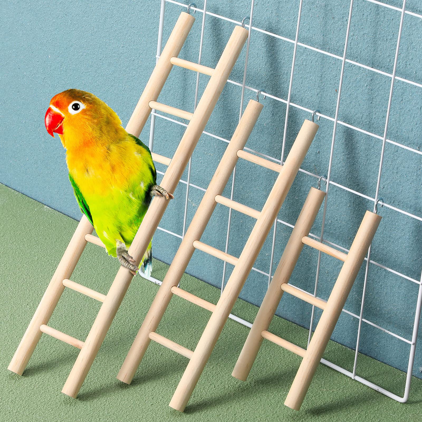 Kigeli escalera de madera para aves, ideal para loros y periquitos.