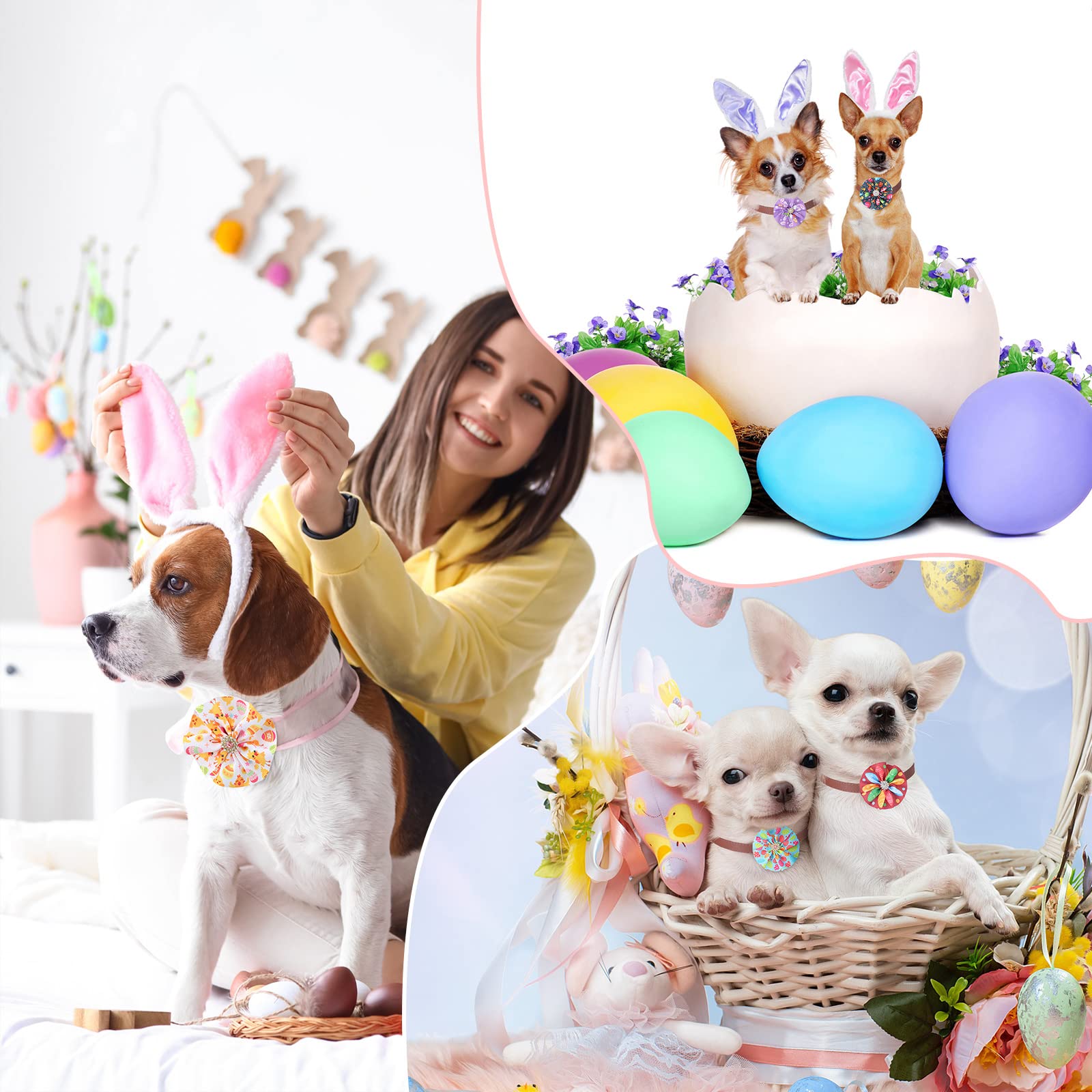 Kigeli lazo Pascua para mascota, listo para la sesión de fotos