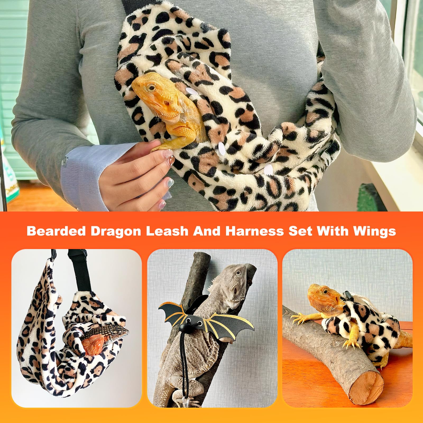 Conjunto completo de Kiiocwev para dragón barbudo, incluye transporte y arnés