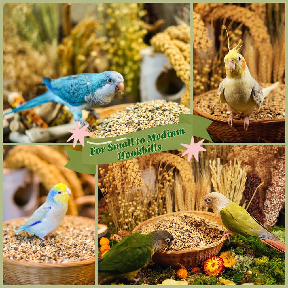 KikiBirds Fomenta el forraje natural y la estimulación mental.