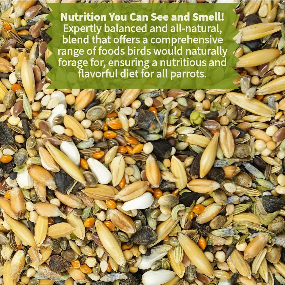 KikiBirds Premium Parrot Food husked seeds close-up emphasizes natural foraging texture.
