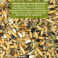 KikiBirds Premium Parrot Food husked seeds close-up emphasizes natural foraging texture.