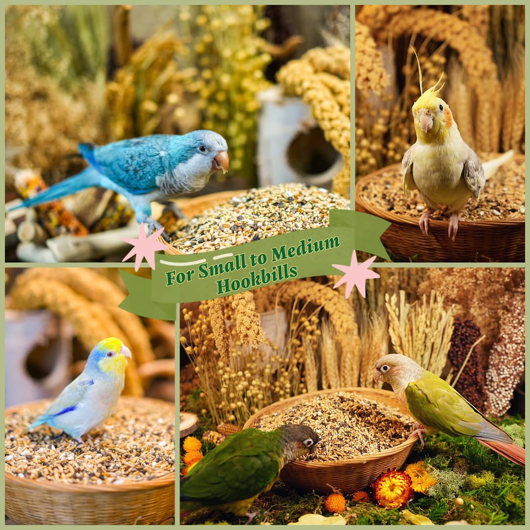 KikiBirds Premium Parrot Food proudly made in Washington.
